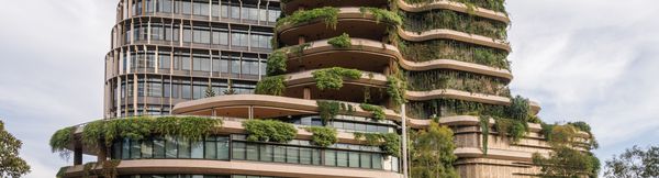 The exterior of the Sunshine Coast City Hall, featuring several sandstone-coloured floors each with greenery draping off the edges of the balconies.